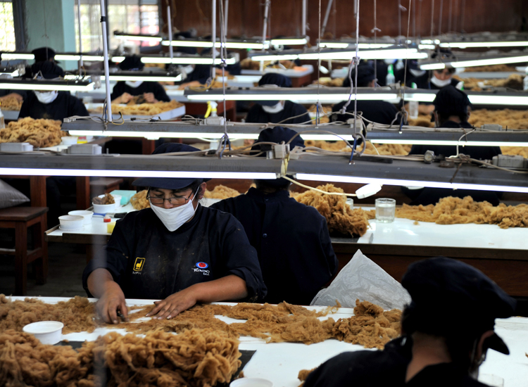 Arequipa: il lavoro nei depositi di lana di vigogna di proprietà della famiglia Michell